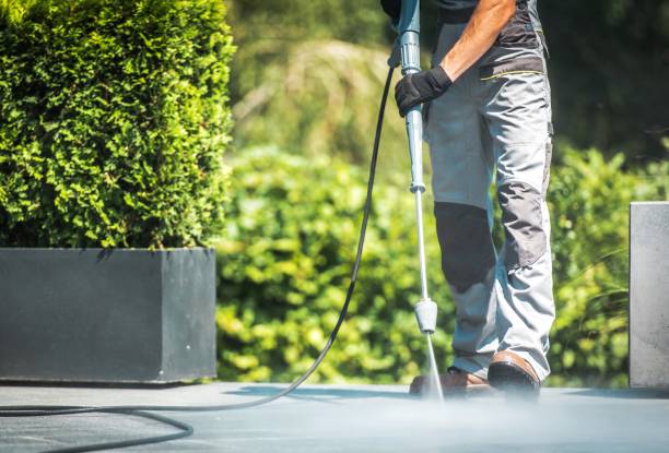 Boat and Dock Cleaning in Pine, AZ
