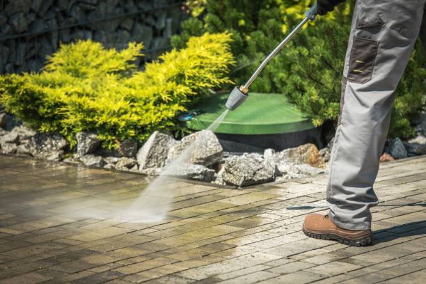 Best Factory Floor Cleaning  in Pine, AZ