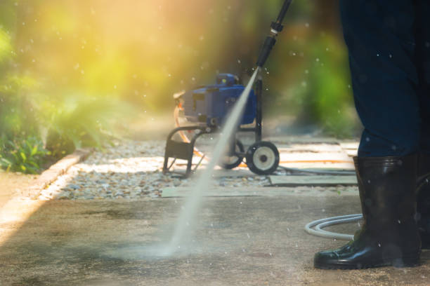 Best Pool Deck Cleaning  in Pine, AZ